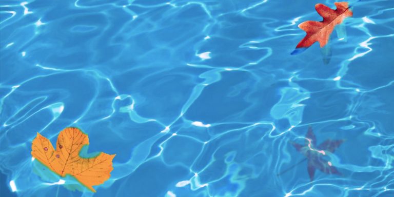 The Best Pool Cleaners (Reviews & Guide)