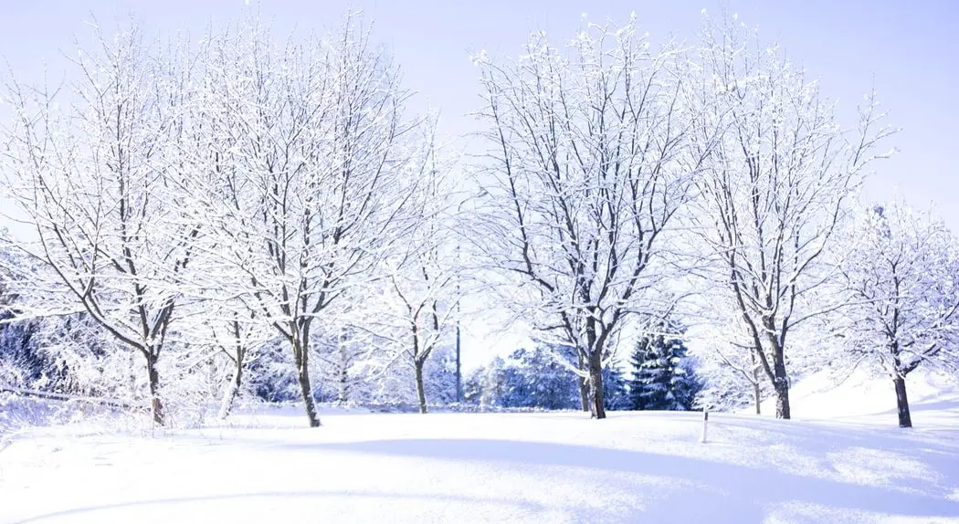 Best Winter Covers For Above Ground Pools Of 2020 Pool - How Low Do I Drain My Above Ground Pool For Winter Best Winter Covers For Above Ground Pools Of 2020 Pool - How Low Do I Drain My Above Ground Pool For Winter