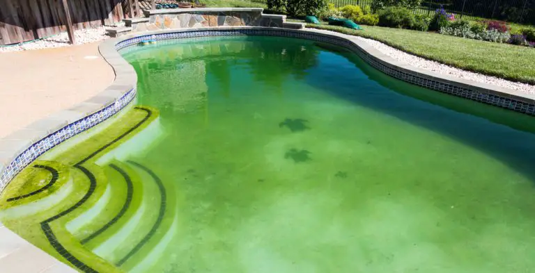Why Is My Swimming Pool Green? (Possible Reasons & Proper Treatment)