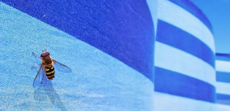 How To Keep Bees & Wasps Away From Pool [9 Prevention Tips]