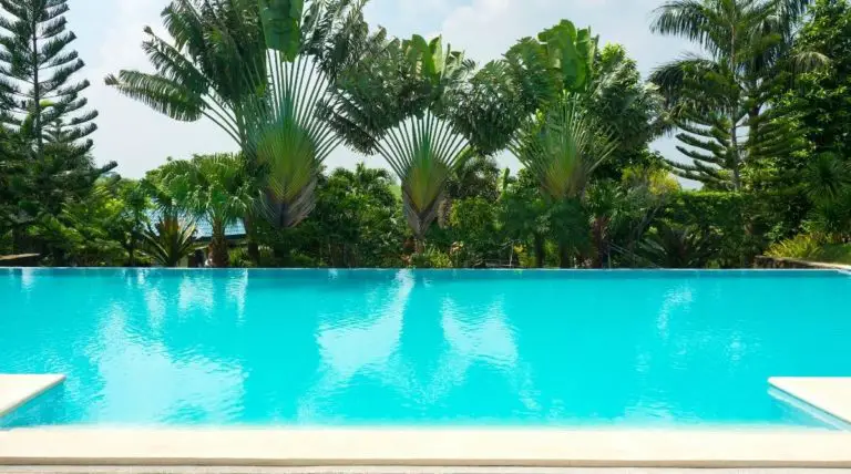 Are Swimming Pools Bad For The Environment? (Are Natural Pools Better?)