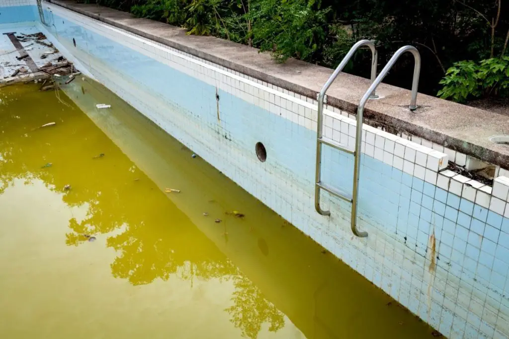 How To Repurpose An Old Swimming Pool
