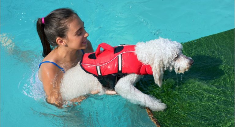 The Best Dog Ramps For Your Pool: Reviews & Buying Guide