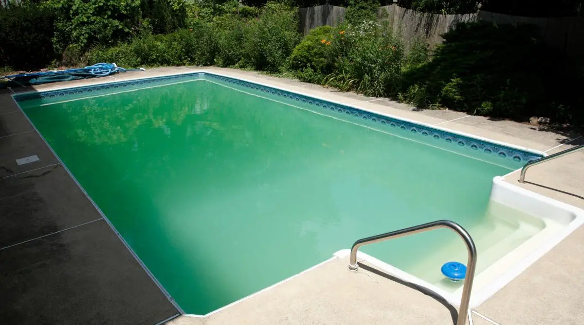 milky green pool water